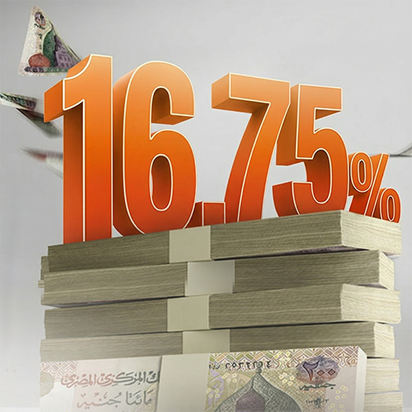 albaraka-daily-investment-account