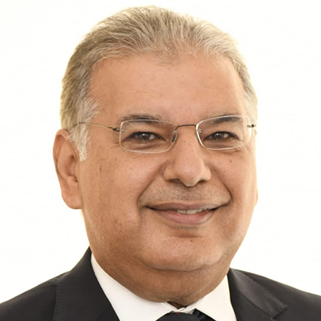 Mr. Tamer Nabil